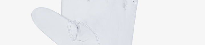 HAWK & DOVE GOLF GLOVE