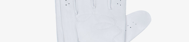 HAWK & DOVE GOLF GLOVE