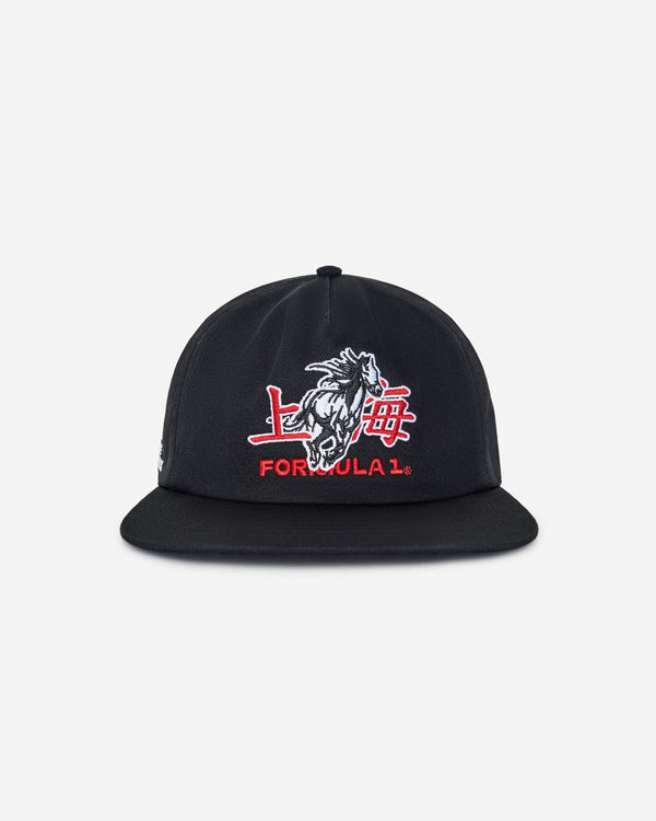 STALLION SNAPBACK