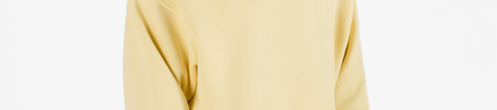 THE AMERICAN EXPRESS FESQUE POSTER HOODIE