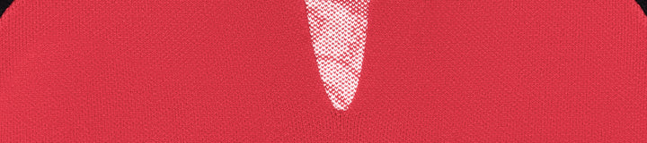 INSIGNIA SWEATER