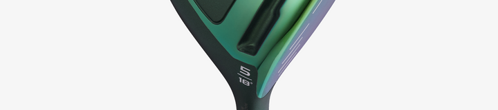 HONMA PERFORMANCE S FLEX / DR 10.5 FULL SET