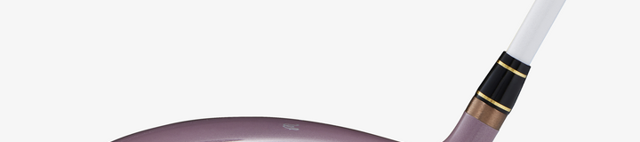 HONMA PREMIUM L FLEX / DR 11.5 FULL SET