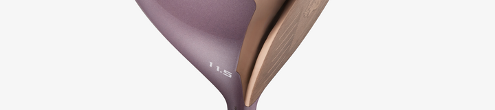 HONMA PREMIUM L FLEX / DR 11.5 FULL SET