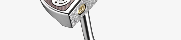 HONMA PEFROMANCE L FLEX / DR 11.5 FULL SET