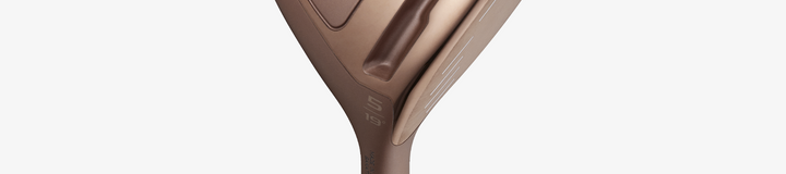 HONMA PEFROMANCE L FLEX / DR 11.5 FULL SET