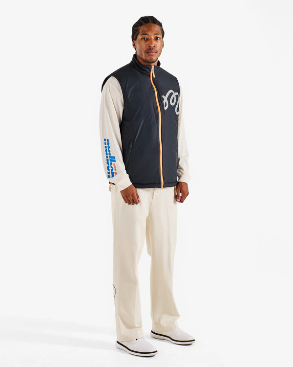 MOUNTAIN VEST