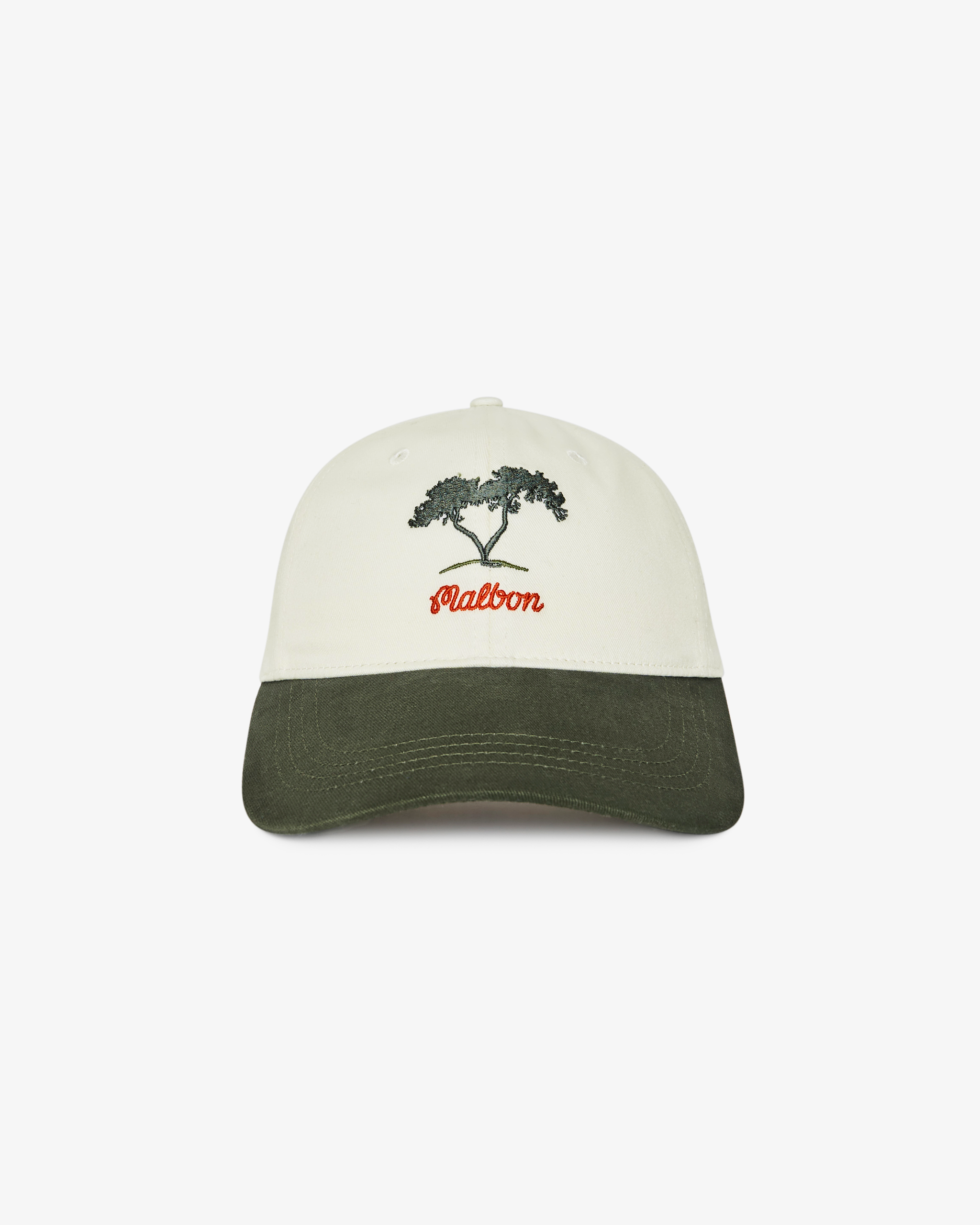 TORREY PINES DAD HAT