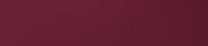 FAIRWAY POLO