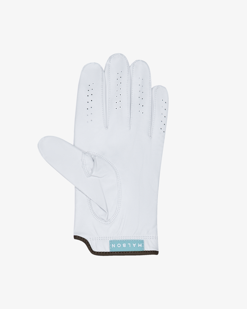 HAWK & DOVE GOLF GLOVE – Malbon