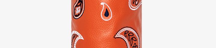 PAISLEY DRIVER COVER