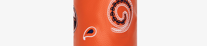 PAISLEY DRIVER COVER
