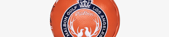 PAISLEY DRIVER COVER