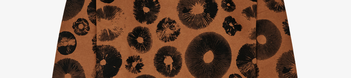 RANGE FORAGING SWEATSHIRT