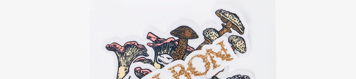 FORAGING FAIRWAYS STICKER PACK