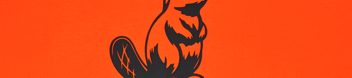 FESQUE TOUR DIVOT CAMO HOODIE