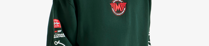 F1 LVGP FESQUE DELTA HOODIE