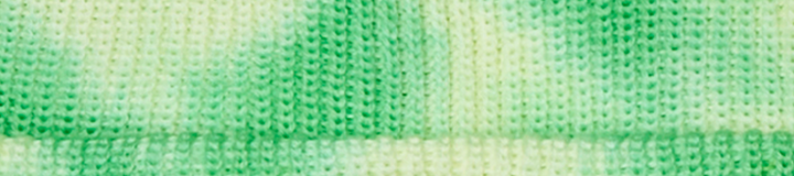 GRATEFUL DEAD STEALIE BEANIE