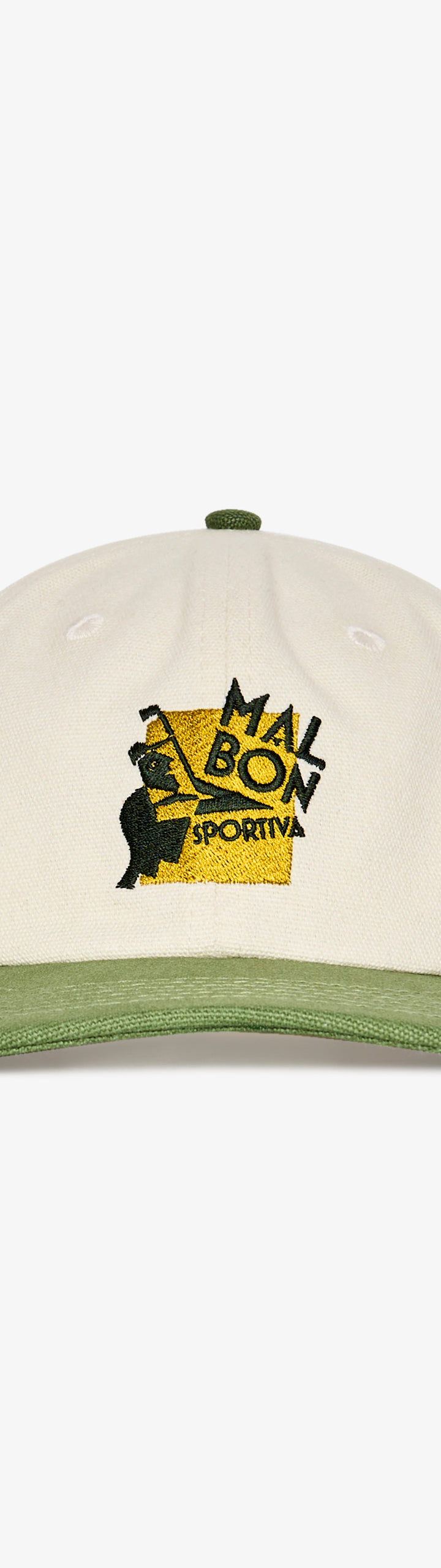 SPORTIVA PAINTERS CAP