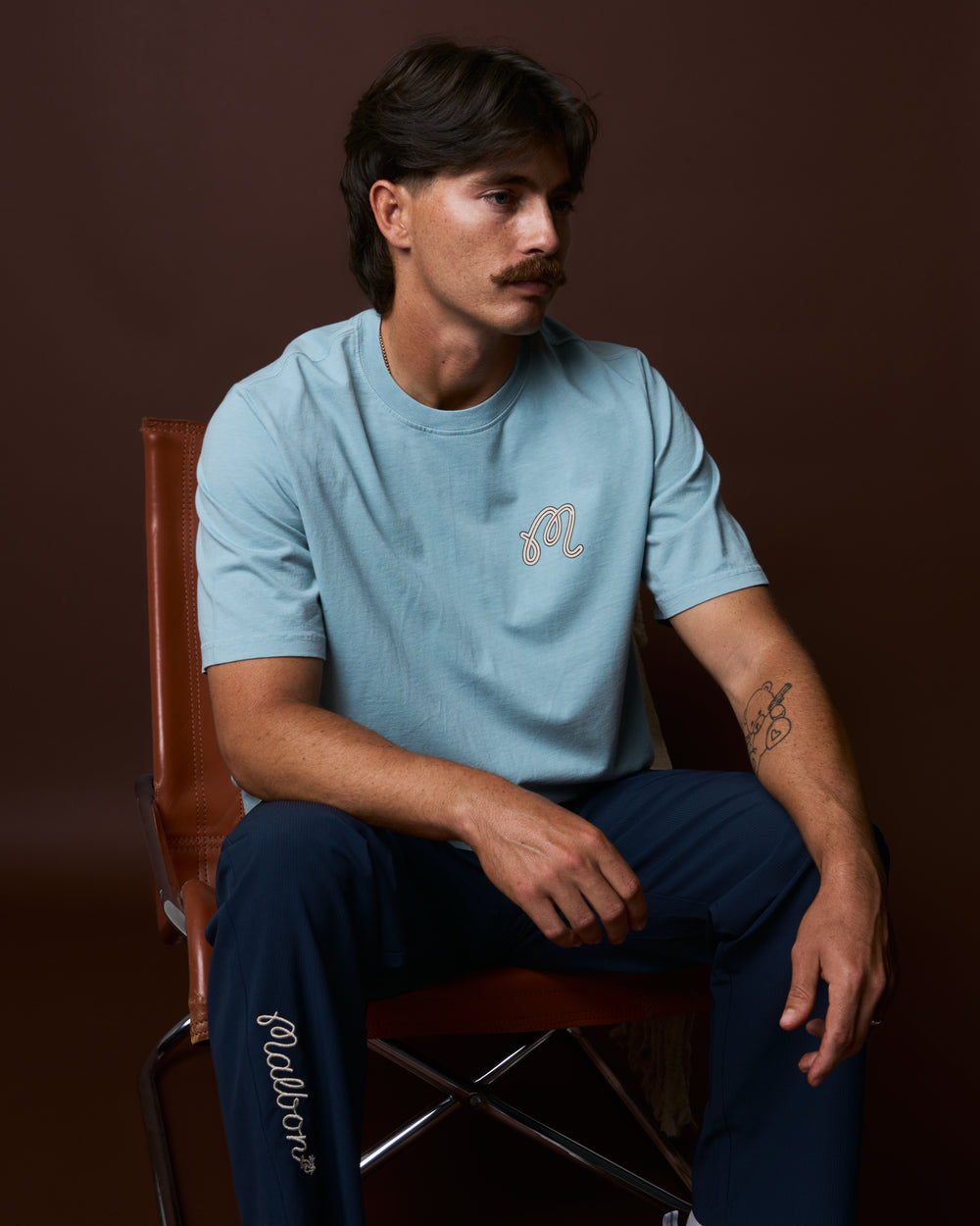 BERMUDA HAWK & DOVE TEE