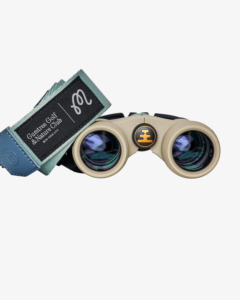 BIRDS OF GEORGIA NOCS