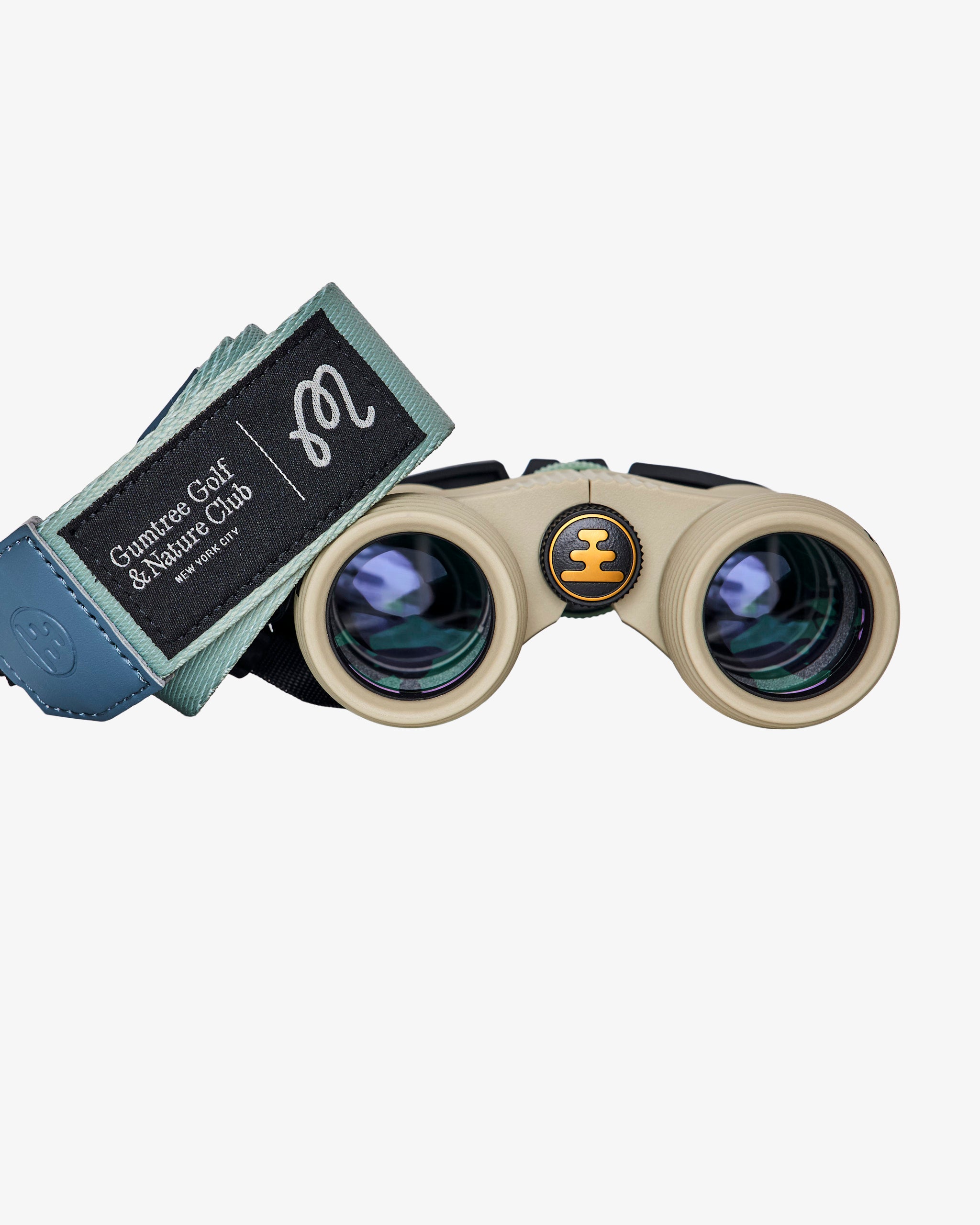 BIRDS OF GEORGIA NOCS