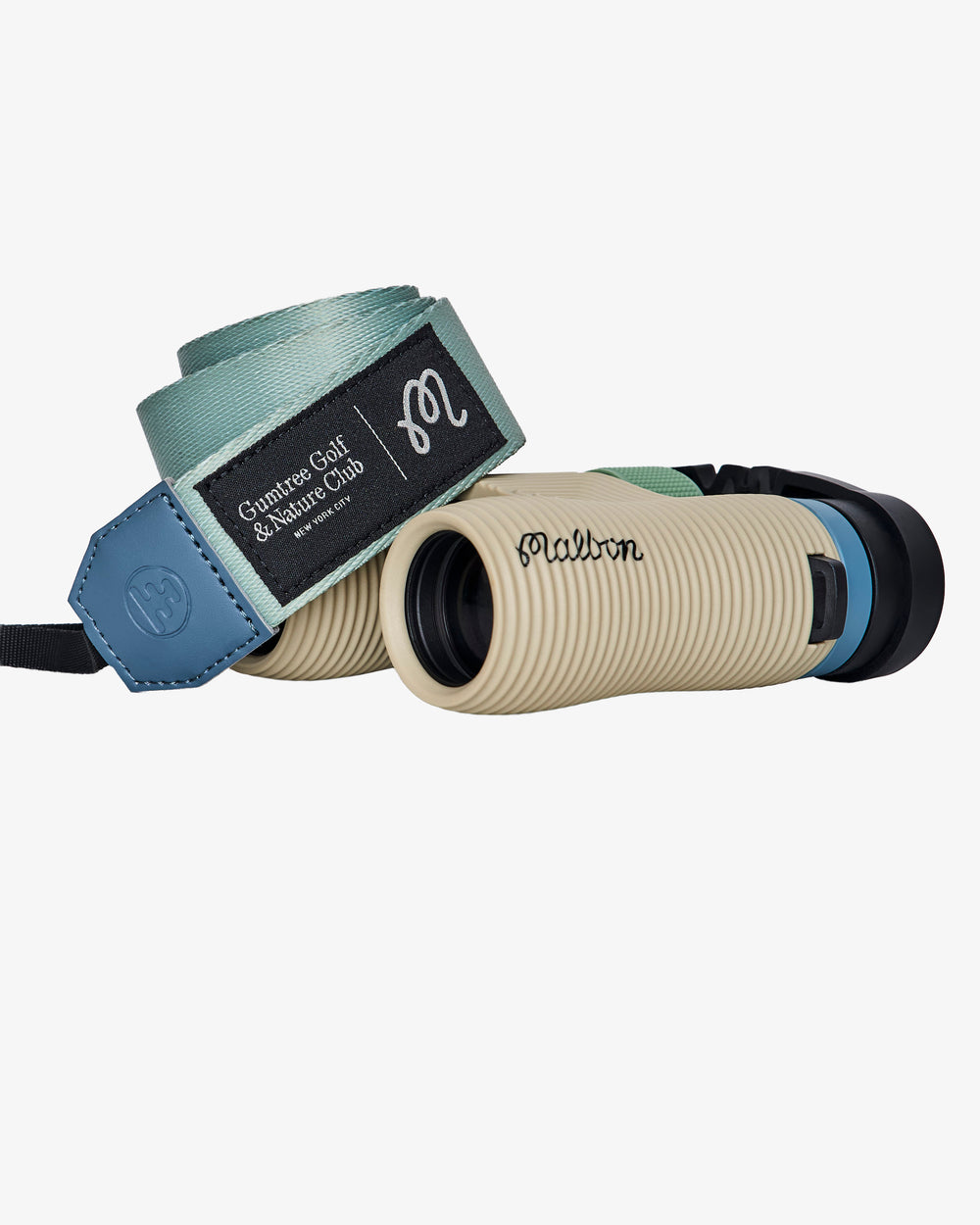 BIRDS OF GEORGIA NOCS