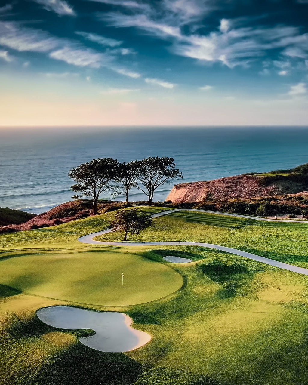 Torrey Pines