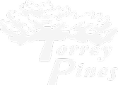 TORREY PINES