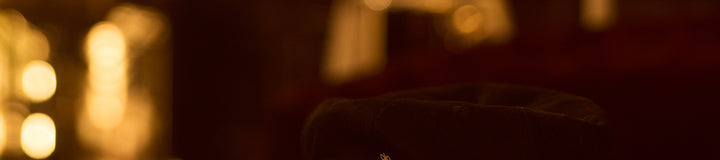 MONARCH SNAPBACK