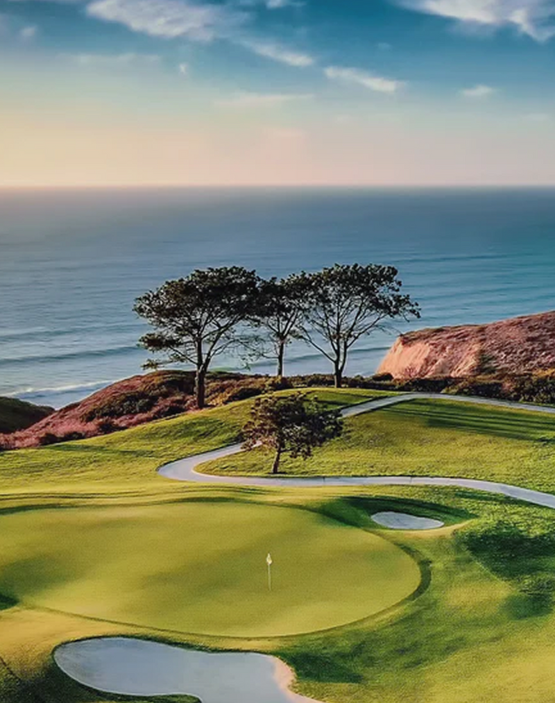 Torrey Pines